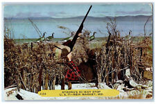 1914 Long Gun Duck Strong's Hi-Way Stop New Market Missouri MO Postcard picture