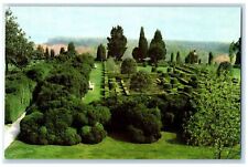 c1960s Gunston Hall South Garden 250 long Boxwood Allee Lorton VA Trees Postcard picture