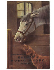 c.1900s Barney’s Music Store Horse Newport Rhode Island RI Advertising Postcard picture