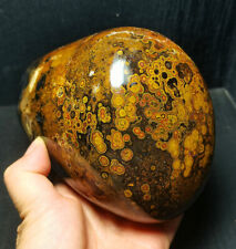 Rare 1981G Natural Inner Mongolia Gobi Eye Agate Geode Collection Healing WD946 picture