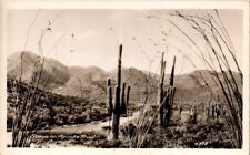 Vintage Real Photo Postcard- Scene on Apache Trail- Arizona unposted 1939 picture