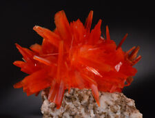 Arcanite crystals matrix, Apus orange cluster like wulfenite, brookite, crocoite picture