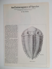 Trilobites Origin Evolution Illustrations Color 1980 Natural History Article 6pg picture
