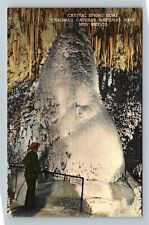 Carlsbad Cavern NM-New Mexico, Crystal Spring Dome Vintage Souvenir Postcard picture