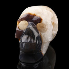 5.4'' Natural Agate Geode crystal gemstone Carved Skull Cluster Skeleton Healing picture