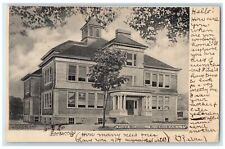 1905 High School Building Exterior Riverhead Long Island New York Trees Postcard picture