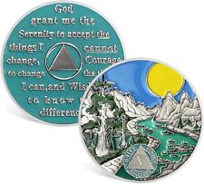 5 Year Sobriety Chip Five Year Sober Coin Achievement Medallions Sobriety Gifts picture
