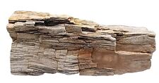 Petrified Wood 🤩 Heavy 5+lbs Fossilized Wood ✨️VERY DETAILED Utah Mountains picture
