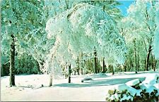 Winter Magic New England Country Side Ice Trees Snow Scene Postcard UNP VTG picture