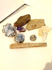 Fossil & Stone Collectors Starter Kit for Adult or Child picture