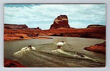 Page AZ-Arizona, Boats from Canyon Tours, Lake Powell Vintage Souvenir Postcard picture