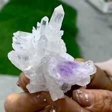 55G Natural Transparent Chrysanthemum crystal Cluster with Amethyst Specimen picture