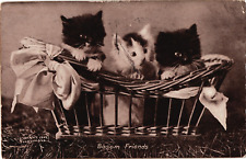 1902 Bullard Artist Photo Kittens Cats in Gift Basket BOSOM FRIENDS Postcard picture