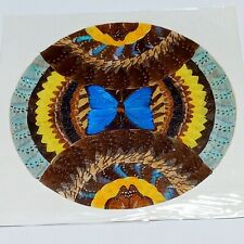 Butterfly Wing Folk Art Handmade Collage Colorful Vintage Taxidermy 17 x 17 B27 picture