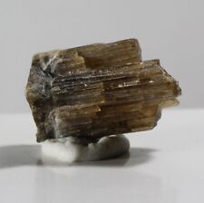 14.90ct Mwajanga Tourmaline Gem Crystal Mineral Tanzania Clear Brown Dravite 118 picture