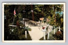 Owego NY-New York, Devils Elbow Rest Park, Antique c1932 Vintage Postcard picture