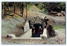 c1910's Tunnel Entrance To The Sun Ray Spring Ellenville New York NY Postcard picture