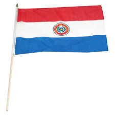 Bandera Paraguay 