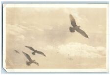 1922 Doves Clouds Scene Carmel CA RPPC Photo Posted Vintage Postcard picture