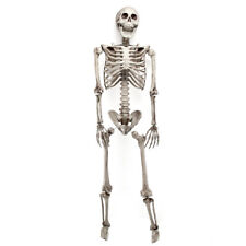 5.6ft Halloween Skeleton Full Life Size Human Skull Party Tricky Haunted Props picture