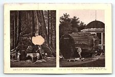 c1880 BUFFALO FURNITURE CO N.Y. YOSEMITE VALLEY CA VICTORIAN TRADE CARD P1747 picture