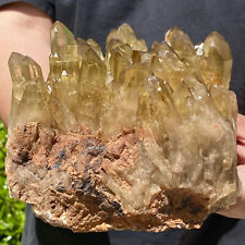 6.75LB Transparent, natural and beautiful YELLOW quartz crystal cluster picture