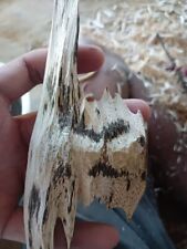 Natural Agarwood Pure Oud Wood Fragments Premium Incense Resin picture