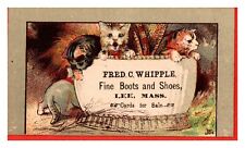 Vintage 1890's Victorian Trade Card - Fred Whipple Fine Boots Lee Massachusetts picture