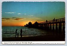 Vintage Postcard Sunset Naples Gulf Florida picture