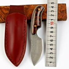Premium Mini Drop Point Knife Hunting Tactical Combat Damascus Steel Wood Handle picture