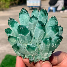 479G New Find green  PhantomQuartz Crystal Cluster MineralSpecimen picture