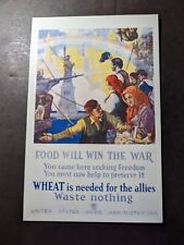 Mint France WWI Postcard Food Will Win the War Waste Nothing Wheat is Needed picture
