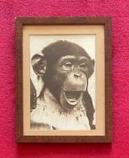 THE MARQUIS CHIMPANZEE 1940s FRAMED ORIGINAL PHOTOGRAPH picture
