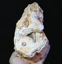 3.03lb Natural Original Agate Quartz Crystal Stone Mineral Specimen Madagascar picture