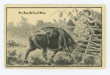 Postcard Very Busy: No Time to Write Bull Rushing Couple 1911  Vintage picture