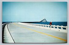 Approach To Sunshine Skyway St. Petersburg Florida Vintage Unposted Postcard picture