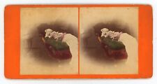 c1900's Hand Tinted RARE Stereoview Adorable Baby Girl on Chair With Puppy, NY picture