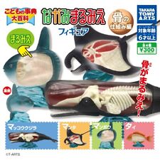 Children's Encyclopedia Nakami Marumie Figure Bone Comp 4 Types Set Capsule toy picture