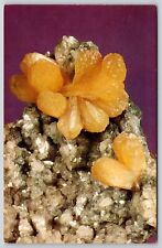 Stilbite New Jersey Tectosilicate Hydrothermal Mineral Rock Vintage UNP Postcard picture