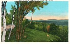 Molley Stark Trail, VT, View from Top of Hogback Mt., Vintage Postcard b6676 picture