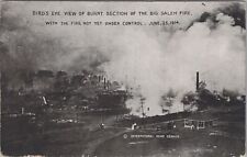Bird's Eye View of Burnt Section of the Big Salem Fire Postcard picture