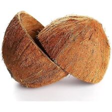 100% Organic & Eco Friendly Coconut Shells - 1kg picture