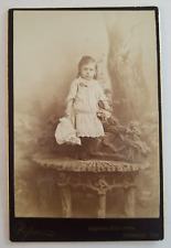 Victorian Cabinet Card Young Girl Toddler Standing Piher Decatur Illinois 1800s picture