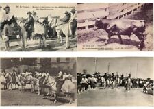 CAMARGUE Horses Bullfghting France 27 Vintage Postcards pre-1940 (L6137) picture