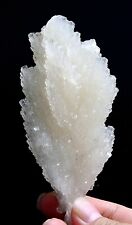 241g  Natural Fluorescent “Angel Wings” White Calcite Crystal Mineral Specimen picture