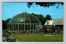 Owego NY-New York, Tioga Gardens, Plant Conservatory, Antique, Vintage Postcard picture