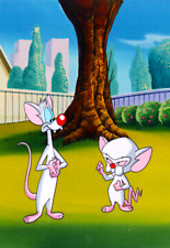 PINKY AND THE BRAIN Photo Magnet @ 3