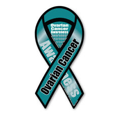 Ovarian Cancer Awareness 2-in-1 Ribbon Magnet picture