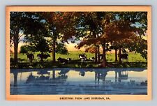 Lake Sheridan PA-Pennsylvania, Scenic Greetings Vintage Souvenir Postcard picture