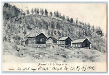 1905 Wood Cabin Hills in Plassen Bergen Norway Posted Antique Postcard picture